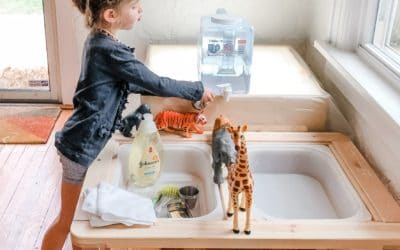 Daily at Home Project: Lid Matching and Animal Washing Station
