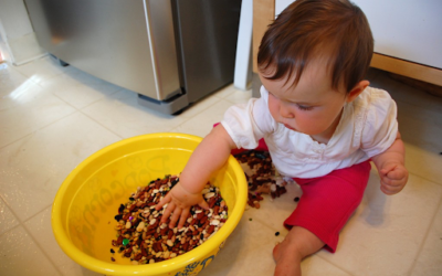 Daily at Home Project: Baby Bean Bowl and Pitched Roof Experiment