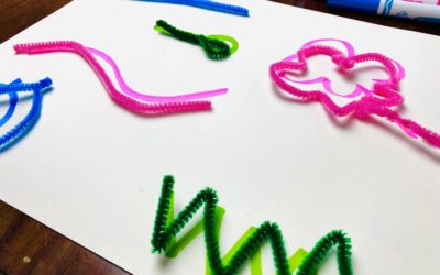 Daily At-Home Project: Pipe Cleaner Matching Exercise