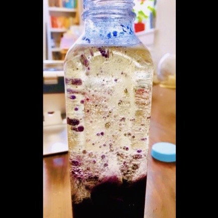 At-Home Science Project: Lava Lamp Experiment!